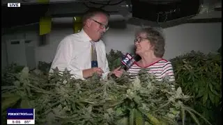 Marijuana Growing Grandma Takes on Ypsilanti Twp. over Medical Marijuana Operation in Basement