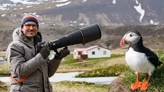 Bird Photography in Iceland 🦅🐦📷 Whats in my Bag