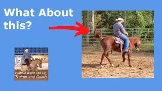 Incorrect perceptions about tail swishing have led to bad decisions from the horse industry.