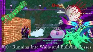 Random Terraria Tomfoolery #10 - Running Into Walls And Bullying Bosses
