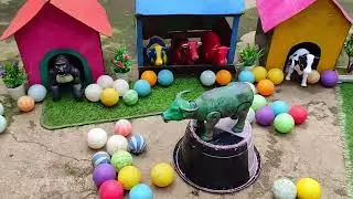 Catch Cute Chickens, Colorful Chickens, Rabbits, Cat, Goose, Duck,rainbowchicks