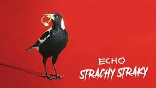 ECHO - Strachy Straky