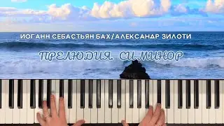 Прелюдия Си Минор | Бах/Зилоти