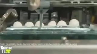 poison egg