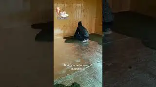 Electric Hamam #electrichamam #2024  #10yearswarranty #kashmir