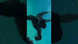 fishes baby Baby School of Fish Underwater | Amazing Marine Life Encounter #gopro #dive #travel