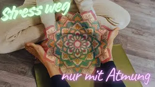 Yoga Nidra f&uuml;r Heilung & Balance | Dein mentaler Reset am Abend
