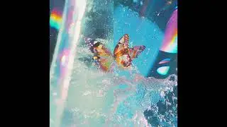 DAPHNI - Two Maps