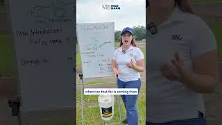 💧 Understanding Fat in the Equine Diet 🐴📚