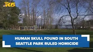 Human skull found in south Seattle park ruled a homicide