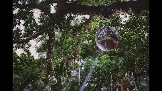 Disco elements will never die