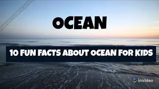WORLD OCEAN DAY : 10 FUN FACTS ABOUT OCEAN FOR KIDS