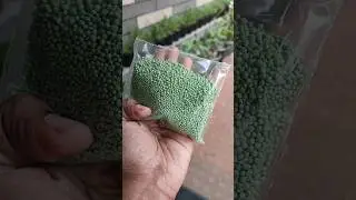 Basacote Fertilizer #gardening #basacote #fertilizer #floralfinds