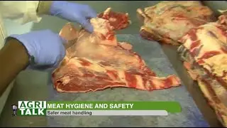 Meat Hygiene and safety - safe meat processing |part 1|