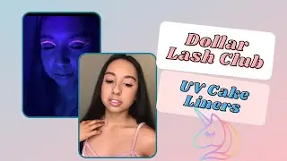 Dollar Lash Club UV Cake liners | Swatches, Smudge Test, & UV Test