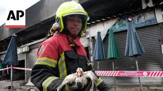 Fire at Thailand's famous Chatuchak Weekend Market kills hundreds of caged animals