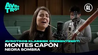 Montes Cap&oacute;n: Negra sombra - Dianto Reed Quintet
