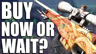 The BEST TIME To Buy Operation Riptide Skins (Profit!)