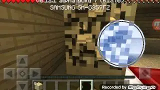 Minecraft Survival-Vine Grim acasa(3)