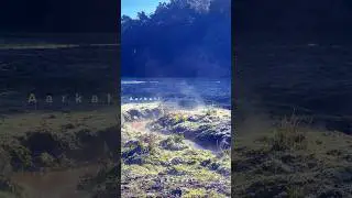 Ooty Thalai Kundha | Ooty Winter | Frost Ice | #nature #ooty #udhagamandalam #naturelovers snow fall