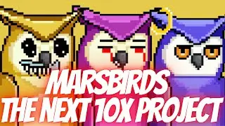 Is Marsbirds CNFT Going To 10X?? | Hustlers' Podcast #3