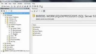 DBVS and PTC Integrity Demonstration