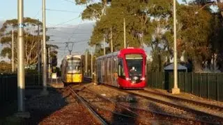 Adelaide Trams - Last day of trams before shutdown - Glengowrie Depot, Friday 1st August 2025