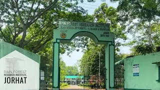 Rain Forest Research Institute ll Jorhat, Assam