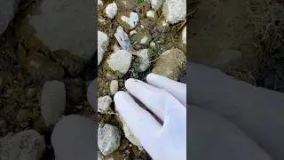 Jasper #real #rocks #rockcrystal #ytchannel #satisfying #naturerocks #stone #nature
