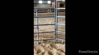 Indoor Arena Maintenance