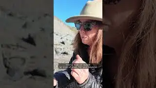 Seaweed Foraging!