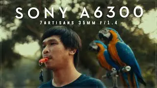 SONY a6300 in 2024 || Cinematic Video