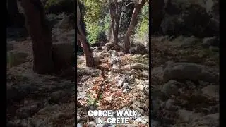 This Stunning Greek Gorge is Perfect for Beginners ☀️ Crete