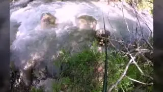 P&ecirc;che au toc en torrent