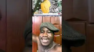 Cocoa farmers says they have not been paid since November last year 😱I don&rsquo;t understand the why