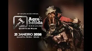 LEILÃO VIRTUAL AGROBATIDA 36º EDIÇÃO