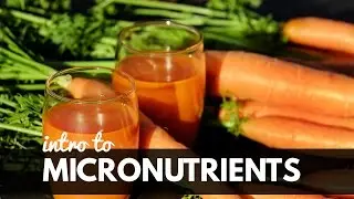 Sports Nutrition: Introduction to Micronutrients