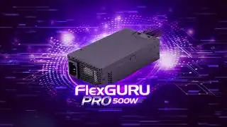 FSP FlexGURU PRO 500W 80+ Gold Power Supply