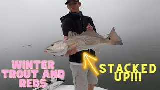 Winter Trout and Reds