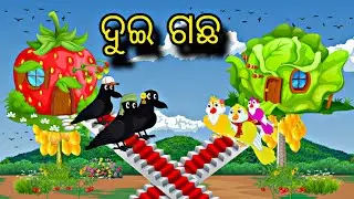 Dui Gacha \\ Odia Stories \\ Odia Gapa \\ Tiki Chadhei Gapa \\ Odia Chadhei Gapa \\ New Kahani