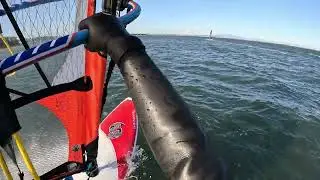 20260131 Windsurfing at Tokyo bay
