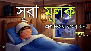 রাতের সঙ্গী সূরা মূলক | হৃদয় জুড়ানো তেলাওয়াত (سورة الملك) Surah Mulk | By Shamsul Haque