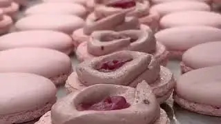 Making macarons with KITMENS bakery stand mixer.