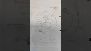 bsc 1st sem. practical of simple microscope and compund microscope with useing method#education