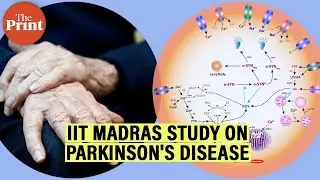 Energy deficiency in some brain cells behind Parkinson&rsquo;s: IIT Madras study suggests