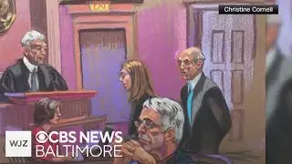 Congress members pushing to make more Epstein investigation files public