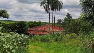 Pai e Mãe já Estavam Mortos a 40 Anos, Até que um Dia A Filha Se Depara Com os Dois Em um Hospital