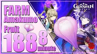 Genshin Impact | Farm Amakumo Fruit