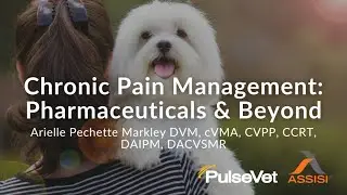 Chronic Pain Management: Pharmaceuticals and Beyond