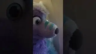 when there's a furry on my flight #memes #plane #furries